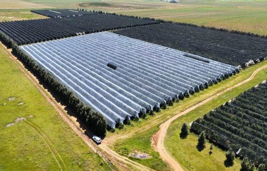 Commercial Property for Sale in Kestell Rural Free State